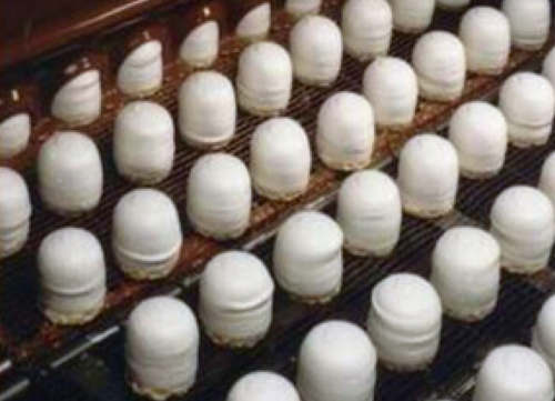 涂層設備乙型網(wǎng)帶 Coated with a layer of chocolate flat flex belt