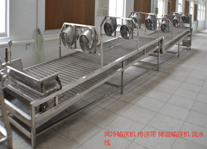 鏈網(wǎng)降溫輸送機